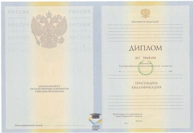 Диплом ПГГПУ 2010-2011 годов